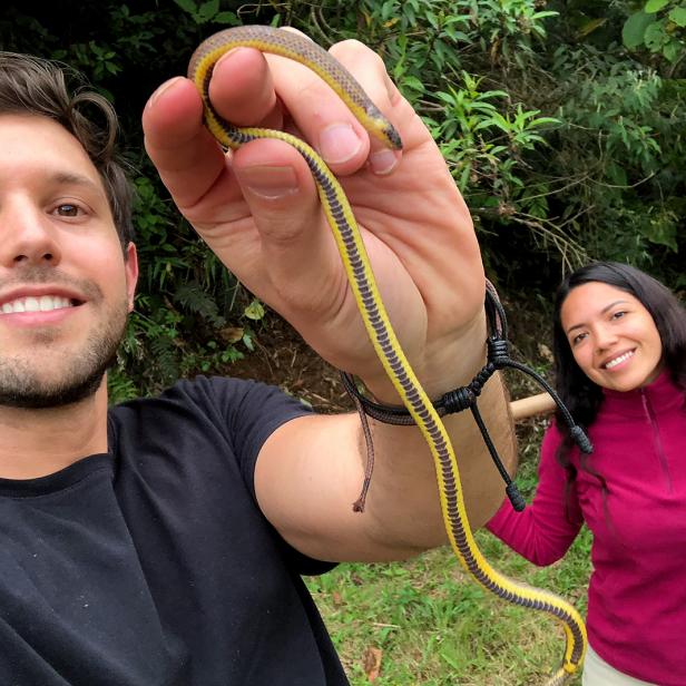 Alejandro Arteaga holds an Atractus zgap.